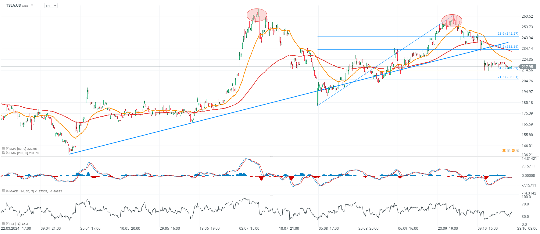 Tesla Prognose im Stundenchart